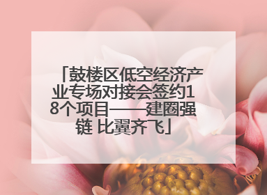 鼓楼区低空经济产业专场对接会签约18个项目——建圈强链 比翼齐飞