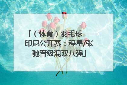 （体育）羽毛球——印尼公开赛：程星/张驰晋级混双八强