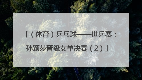 （体育）乒乓球——世乒赛：孙颖莎晋级女单决赛（2）