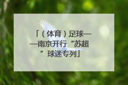 （体育）足球——南京开行“苏超”球迷专列