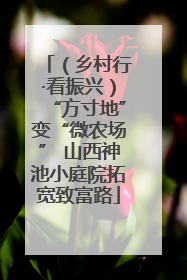 （乡村行·看振兴）“方寸地”变“微农场” 山西神池小庭院拓宽致富路