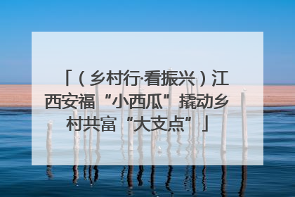 （乡村行·看振兴）江西安福“小西瓜”撬动乡村共富“大支点”