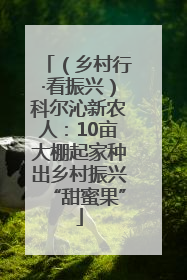 （乡村行·看振兴）科尔沁新农人：10亩大棚起家种出乡村振兴“甜蜜果”