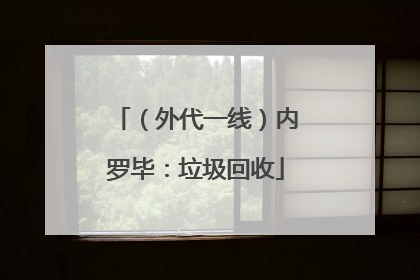 （外代一线）内罗毕：垃圾回收