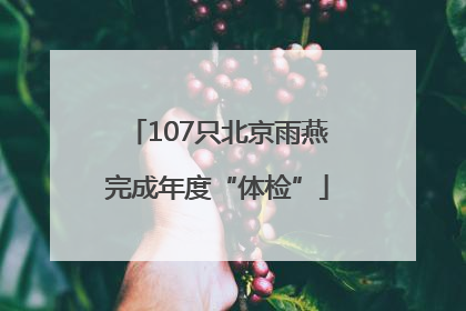 107只北京雨燕完成年度“体检”