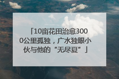 10亩花田治愈3000公里孤独，广水独眼小伙与他的“无尽夏”