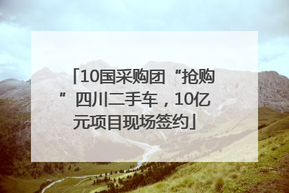 10国采购团“抢购”四川二手车，10亿元项目现场签约