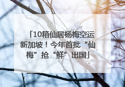 10箱仙居杨梅空运新加坡！今年首批“仙梅”抢“鲜”出国