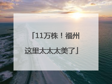 11万株！福州这里太太太美了