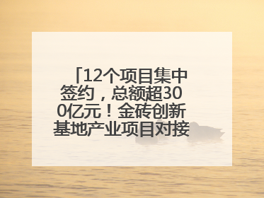 12个项目集中签约，总额超300亿元！金砖创新基地产业项目对接会举行