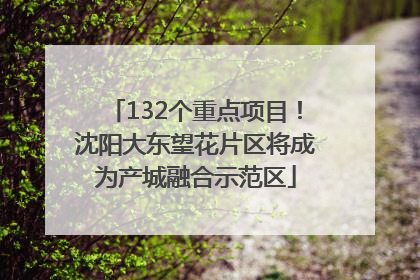 132个重点项目！沈阳大东望花片区将成为产城融合示范区