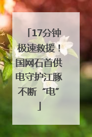 17分钟极速救援！国网石首供电守护江豚不断“电”