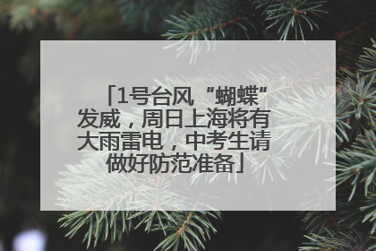1号台风“蝴蝶”发威，周日上海将有大雨雷电，中考生请做好防范准备