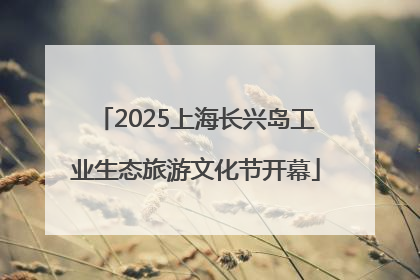 2025上海长兴岛工业生态旅游文化节开幕