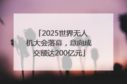 2025世界无人机大会落幕，意向成交额达200亿元