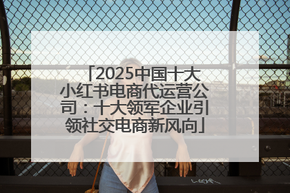 2025中国十大小红书电商代运营公司：十大领军企业引领社交电商新风向