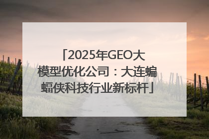2025年GEO大模型优化公司：大连蝙蝠侠科技行业新标杆