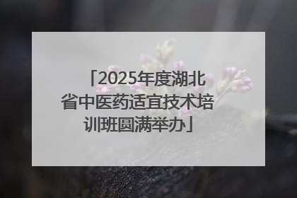 2025年度湖北省中医药适宜技术培训班圆满举办