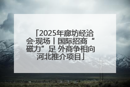 2025年廊坊经洽会·现场丨国际招商“磁力”足 外商争相向河北推介项目