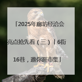 2025年廊坊经洽会亮点抢先看（三）丨6街16巷，邀你逛市集