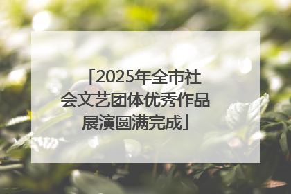 2025年全市社会文艺团体优秀作品展演圆满完成