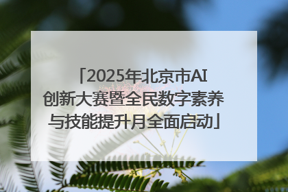 2025年北京市AI创新大赛暨全民数字素养与技能提升月全面启动