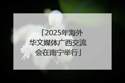 2025年海外华文媒体广西交流会在南宁举行
