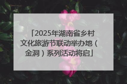 2025年湖南省乡村文化旅游节联动举办地（金洞）系列活动将启