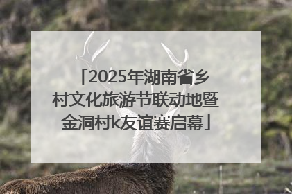2025年湖南省乡村文化旅游节联动地暨金洞村k友谊赛启幕