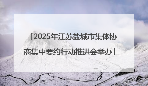 2025年江苏盐城市集体协商集中要约行动推进会举办