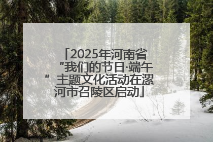 2025年河南省“我们的节日·端午”主题文化活动在漯河市召陵区启动