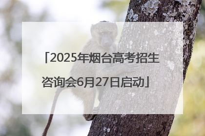 2025年烟台高考招生咨询会6月27日启动