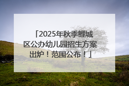 2025年秋季鲤城区公办幼儿园招生方案出炉！范围公布！