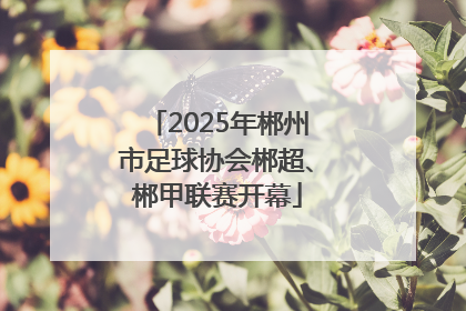 2025年郴州市足球协会郴超、郴甲联赛开幕