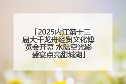 2025内江第十三届大千龙舟经贸文化博览会开幕 水陆空光影盛宴点亮甜城湖