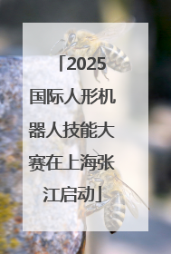 2025国际人形机器人技能大赛在上海张江启动