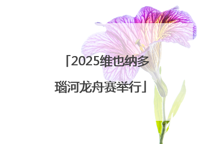 2025维也纳多瑙河龙舟赛举行