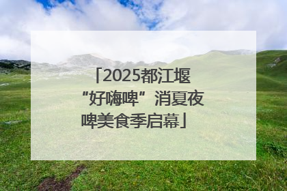 2025都江堰“好嗨啤”消夏夜啤美食季启幕
