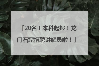 20名！本科起报！龙门石窟招聘讲解员啦！
