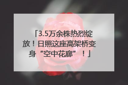 3.5万余株热烈绽放！日照这座高架桥变身“空中花廊”！