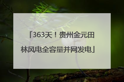 363天！贵州金元田林风电全容量并网发电