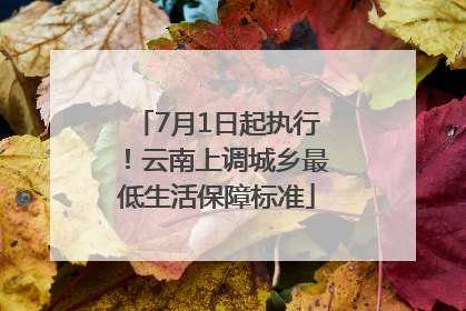 7月1日起执行！云南上调城乡最低生活保障标准