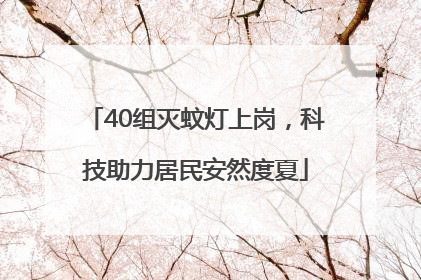40组灭蚊灯上岗，科技助力居民安然度夏