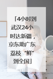 4小时到武汉24小时达新疆，京东助广东荔枝“鲜”到全国