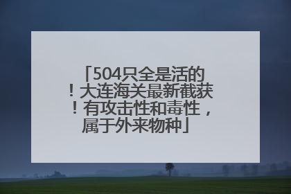 504只全是活的！大连海关最新截获！有攻击性和毒性，属于外来物种