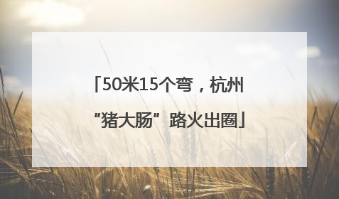 50米15个弯，杭州“猪大肠”路火出圈