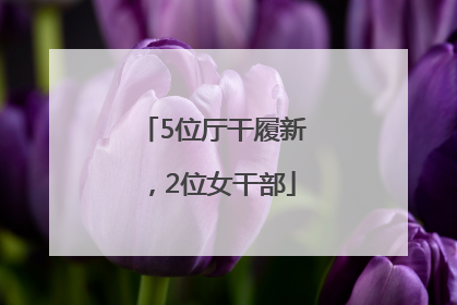 5位厅干履新，2位女干部