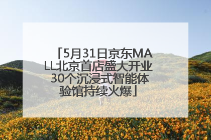 5月31日京东MALL北京首店盛大开业 30个沉浸式智能体验馆持续火爆