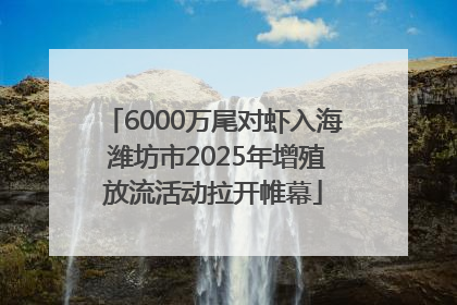 6000万尾对虾入海 潍坊市2025年增殖放流活动拉开帷幕