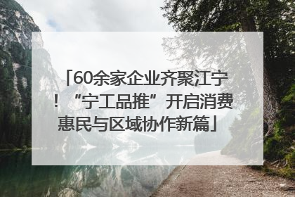 60余家企业齐聚江宁！“宁工品推”开启消费惠民与区域协作新篇